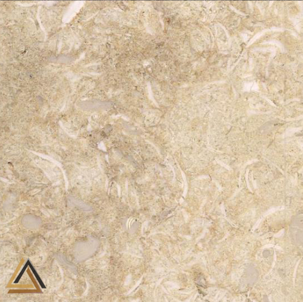 Feather Sunny Marble: unique Egyptian beige stone with feather patterns, ideal for flooring, cladding, and countertops.