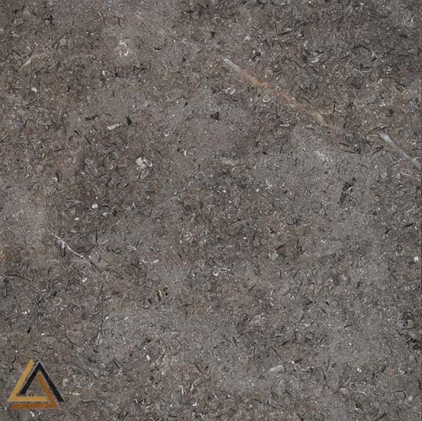Sinai Pearl Grey Marble from Egypt features elegant grey tones with subtle fossil patterns. Durable and versatile, it is ideal for flooring, wall cladding, countertops, and large-scale projects.